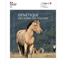 Génétique des robes des équidés