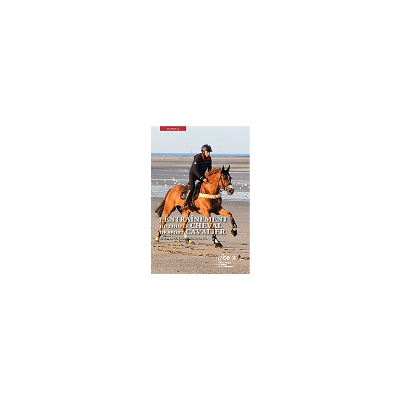 L'entraînement du couple cheval de sport / cavalier