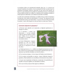 Le poulain, de la naissance à 3 ans