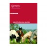 Identification des équidés