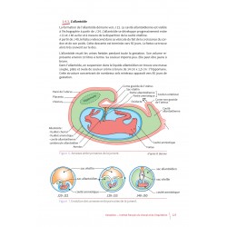 Gestion de la jument