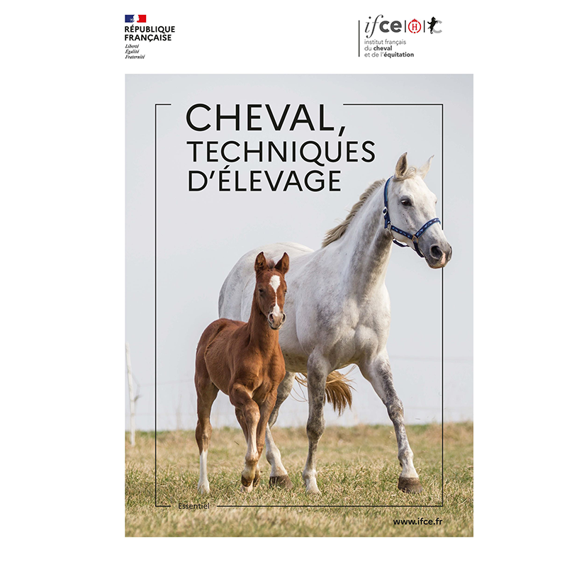 Cheval, techniques d'élevage