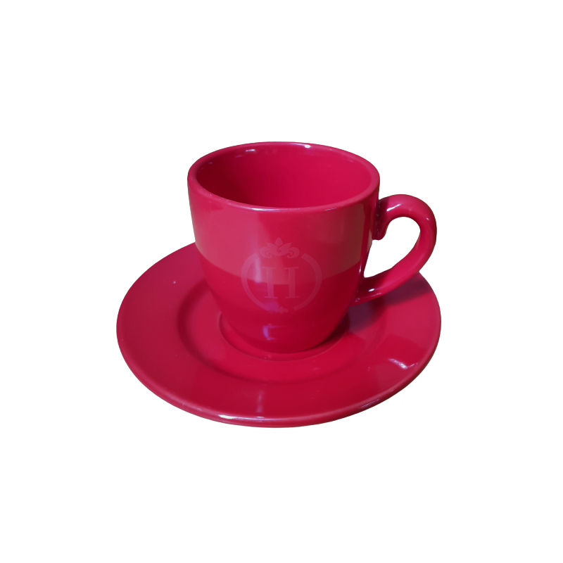 Tasse et soucoupe Haras nationaux
