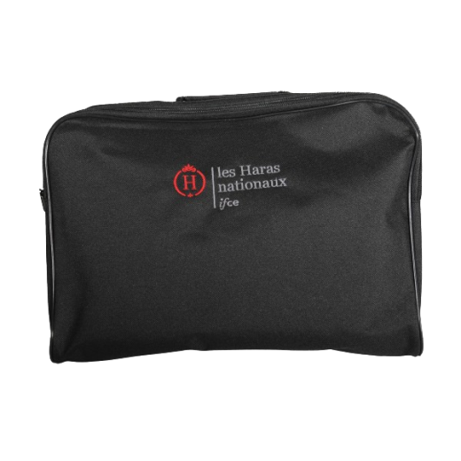 Embroidered Bag